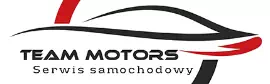 logo Team Motors